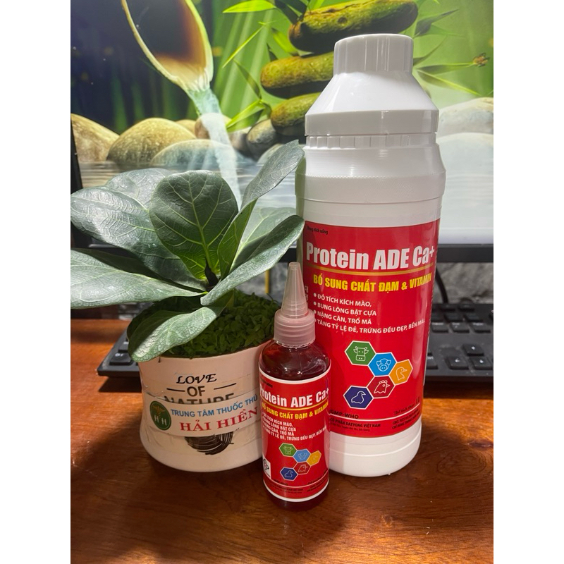 Protein ADE Ca+ bổ sung khoáng chất cho gà 1 lít