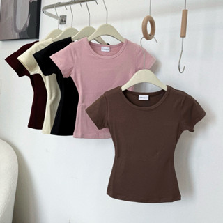 [A89] Áo thun nữ dáng ôm cổ tròn màu TRƠN tay ngắn mát mẻ co giãn Lin Boutique