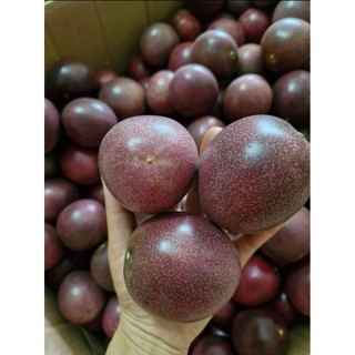 Combo 2kg chanh leo tím, chanh dây tím