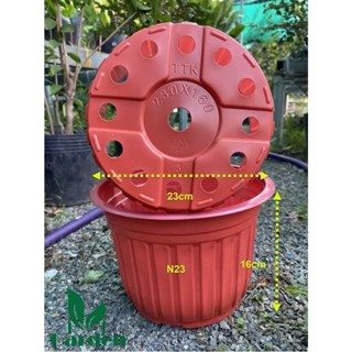  Combo 10 Cái Chậu Nhựa TTK Vành Cứng - Chậu Nhựa Trồng Hoa - Chậu Ươm Cây 