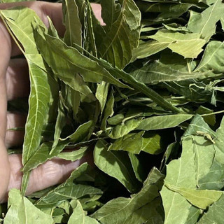 Lá neem khô thơm gội đầu 100g