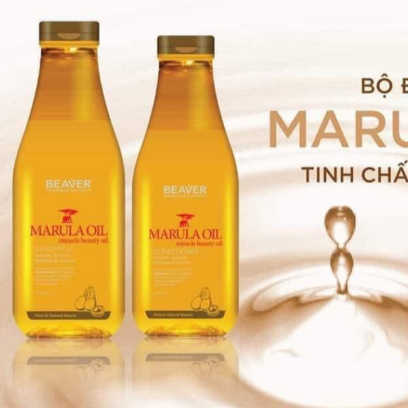 Dầu gội xả BEAVER tinh dầu Marula & Xoài Nam Phi làm mượt và bóng tóc Marula Oil Smooth & Shine 350m