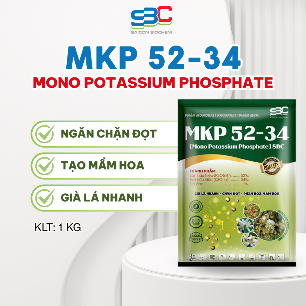 PHÂN MKP 52 - 34 NGĂN CHẶN ĐỌT - TẠO MẦM HOA  - GIÀ LÁ NHANH (Mono Potassium Phosphate)