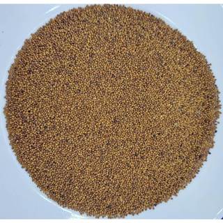 Thỏ Ty Tử (hạt tơ hồng), Túi 100g hạt đẹp, hàng mới
