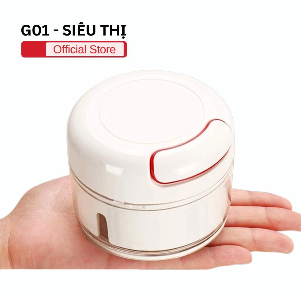 Máy Xay Tỏi Ớt G01 250ml 300w