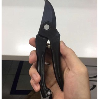 KÉO TỈA CÀNH CÂY