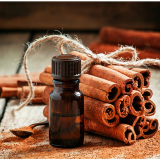 Tinh Dầu Vỏ Quế (Cinnamon Essential Oil)
