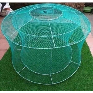 lồng chạy lưới cho gà chọi tập lực