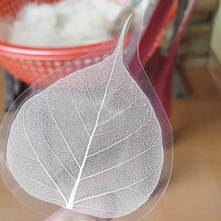 Lá bồ đề ép - ốp điện thoại