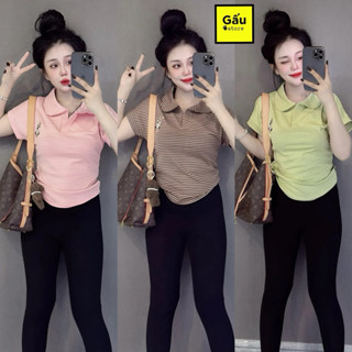 Áo thun nữ Pô Lô sọc TAY HẾN PHOM ÔM ( Pô Lô sọc thêu thỏ xinh C135 )