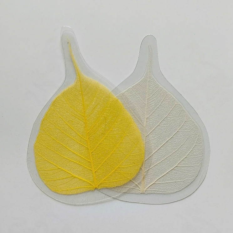Lá bồ đề ép - ốp điện thoại