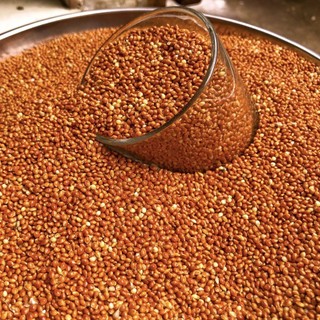 1Kg Hạt Kê Đỏ To