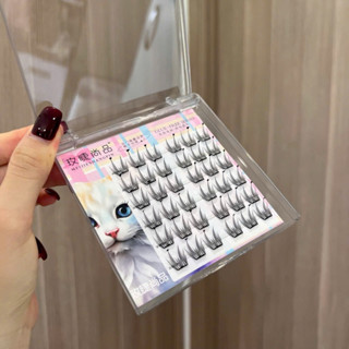 Lông Mi Giả Sẵn Keo Tự Nhiên, Mi Cáo Mi Thỏ trắng Không Cần Keo Tự Dính Meijeshangpin Tái Sử Dụng Hottrend