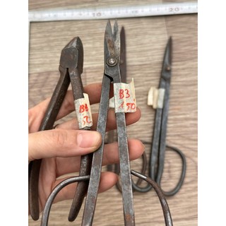 KÉO TỈA NHẬT bãi