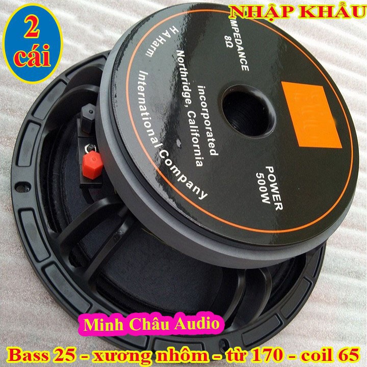CẶP BASS 25 TỪ 170 COIL 65 BJ CHINA - LOA BASS 25 NHẬP KHẨU - GIÁ 2 CHIẾC