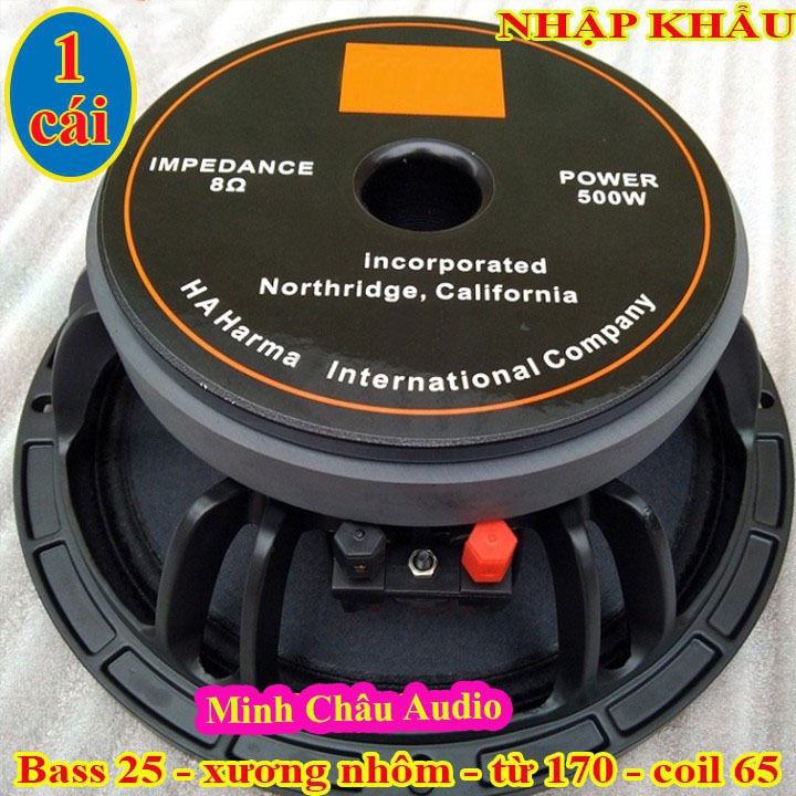 LOA BASS 25 TỪ 170 COIL 65 BJ CHINA - LOA BASS 25 NHẬP KHẨU - GIÁ 1 CHIẾC