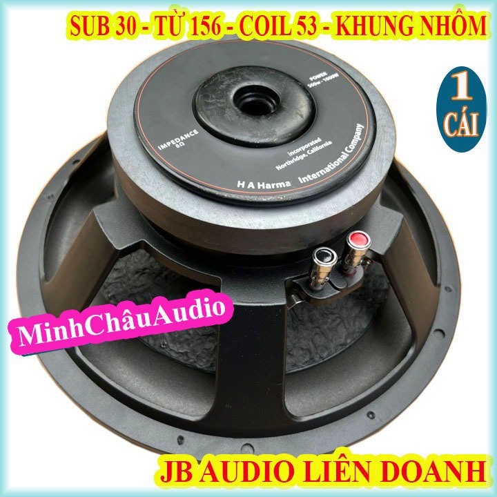 CỦ LOA SUB 30 LIÊN DOANH TỪ 156 COIL 53 KHUNG NHÔM BJ - GIÁ 1 LOA