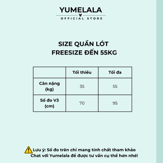 Set 3 Quần Lót Nữ Su Lụa Mềm Mại Phối Ren Gợi Cảm | Đáy Kháng Khuẩn Chất Đẹp Mặc Êm Ái Dễ Chịu Co Giãn Tốt