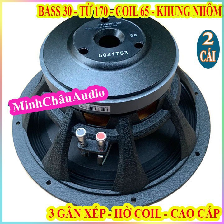 CẶP CỦ LOA BASS 30 TỪ 170 COIL 65 KHUNG NHÔM CAO CẤP BJ - GIÁ 2 LOA
