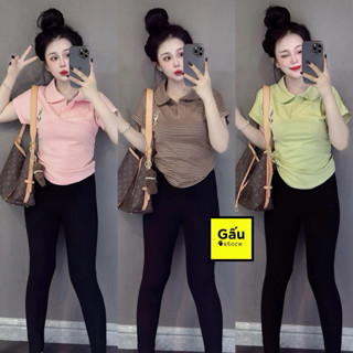 Áo thun nữ Pô Lô sọc TAY HẾN PHOM ÔM ( Pô Lô sọc thêu TH C135 )