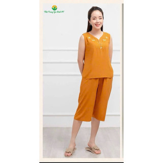 BỘ LANH LỬNG VIỆT THẮNG( HÀNG CÔNG TY)