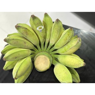 1kg CHUỐI SÁP NGHỆ TRÀ VINH loại 1 xẻ nải- nhận ủ theo yêu cầu