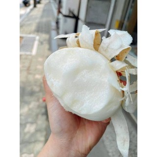 Củ đậu 3kg. hỏa tốc hà nội