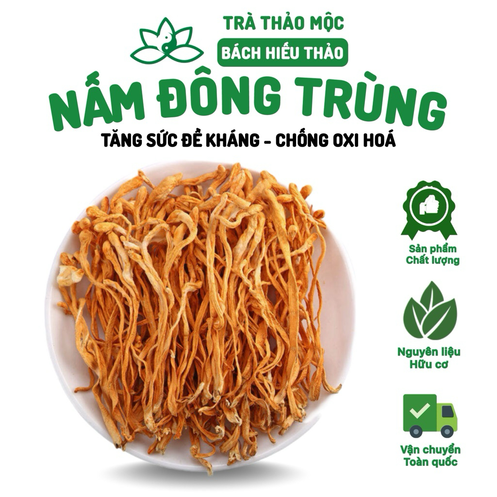 Nấm Đông Trùng Hạ Thảo Sấy Khô Bách Hiếu Thảo Sấy Lạnh  Food Thức Ăn