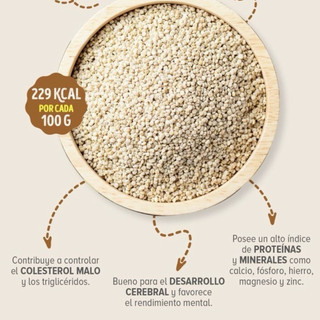 Hạt Diêm Mạch Trắng- White Quinoa Absolute Organic 1Kg.