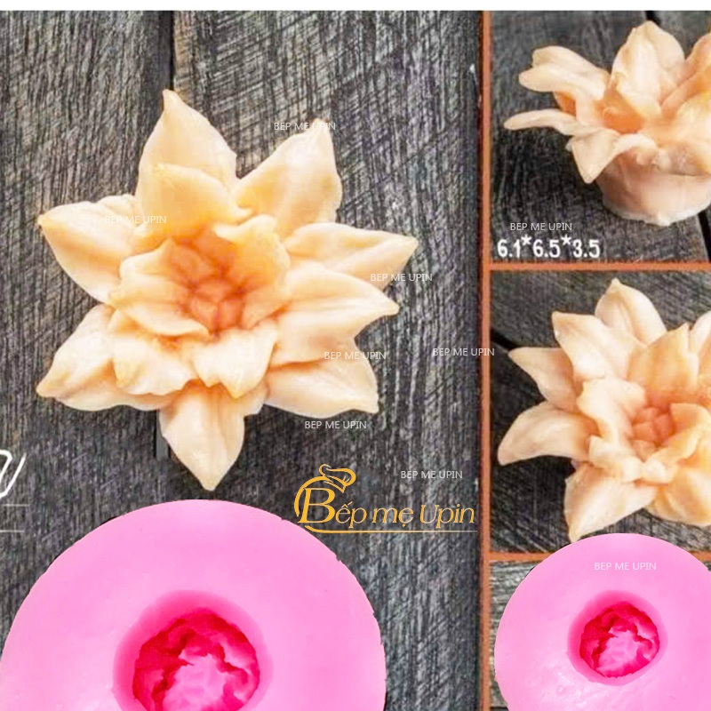 Khuôn silicon hoa thái V72