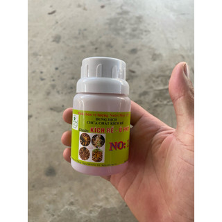 kích rể cực mạnh no1