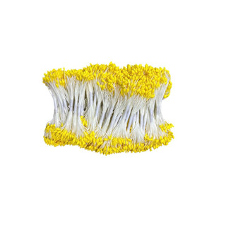 NHỤY GIỌT NƯỚC LÀM HOA