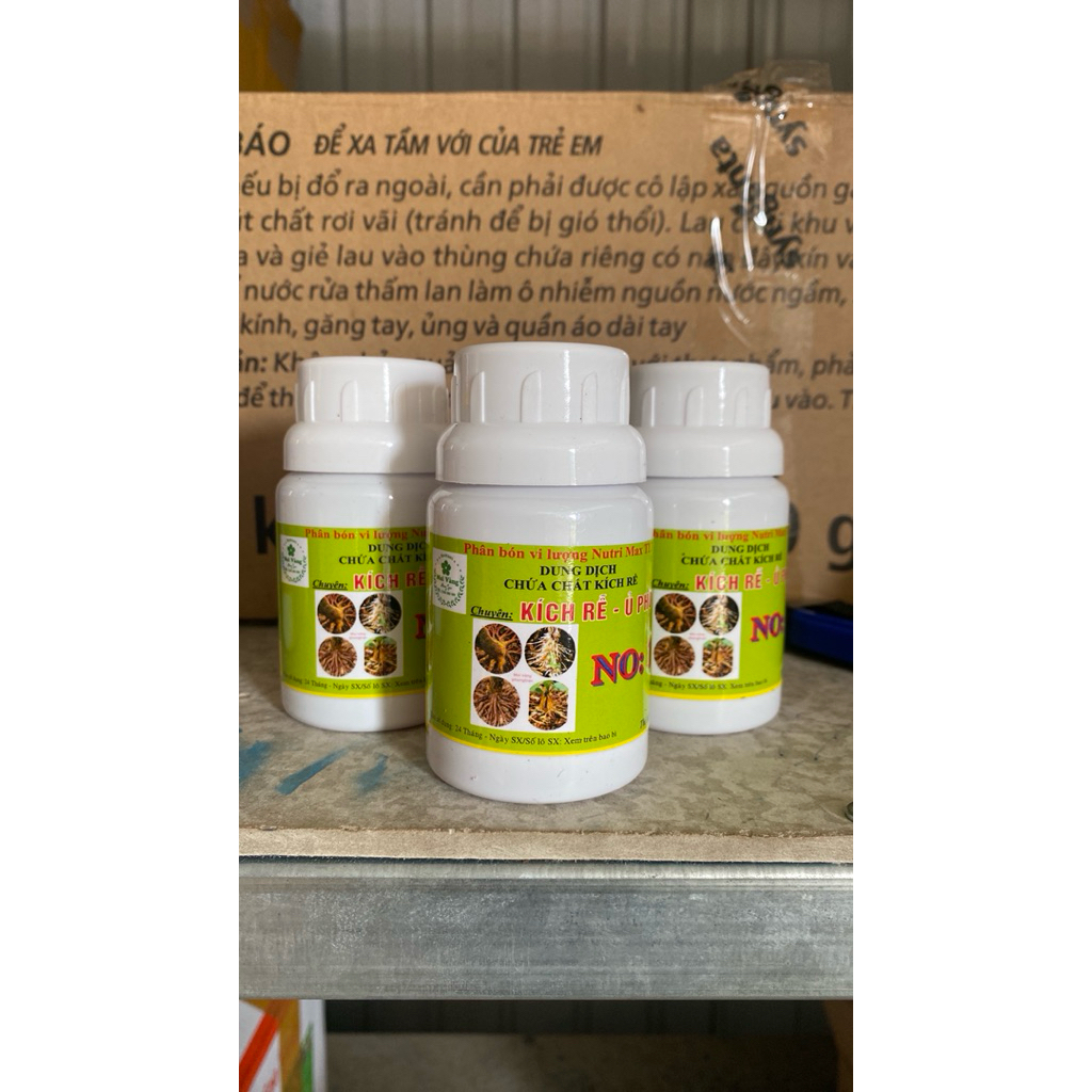 kích rể cực mạnh no1