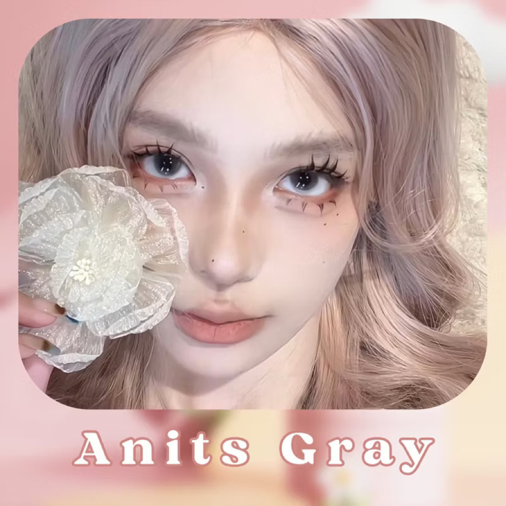 Lens Mắt Anits Gray - Không Giãn tròng - Xám trong không viền Olivia Monrose Lens ( Lucci Eyes ) Tặn