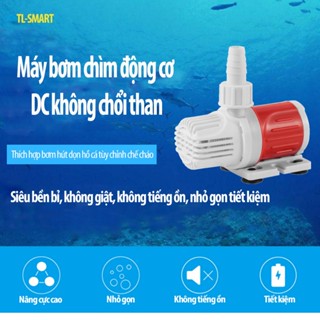 (Chỉ có máy)Máy bơm chìm DC mini 12v không giật, bơm hồ cá, bể cá, tiểu cảnh, quạt hơi nước
