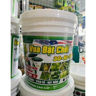 Phân tưới gốc Hữu cơ Vua Bật Chồi 30-10-10 xô 20kg_Phục hồi& phát triển cây xanh lá, dày lá-Ra rễ, bung đọt