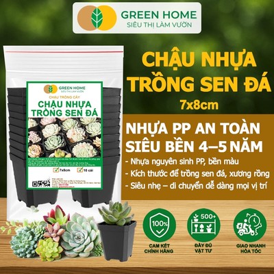 Bộ 10 Chậu Nhựa Trồng Sen Đá GreenHome, 7x8CM, BỀN , Đẹp , Đa Năng, Thoát Nước, Tiết Kiệm Không Gian