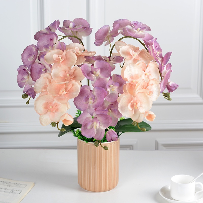 Hoa Lan Hồ Điệp 8Bông Sephera Flower Cao 70cm Thiết Kế Chậu Lan Trang Trí Phòng Khách, Bàn Làm Việc