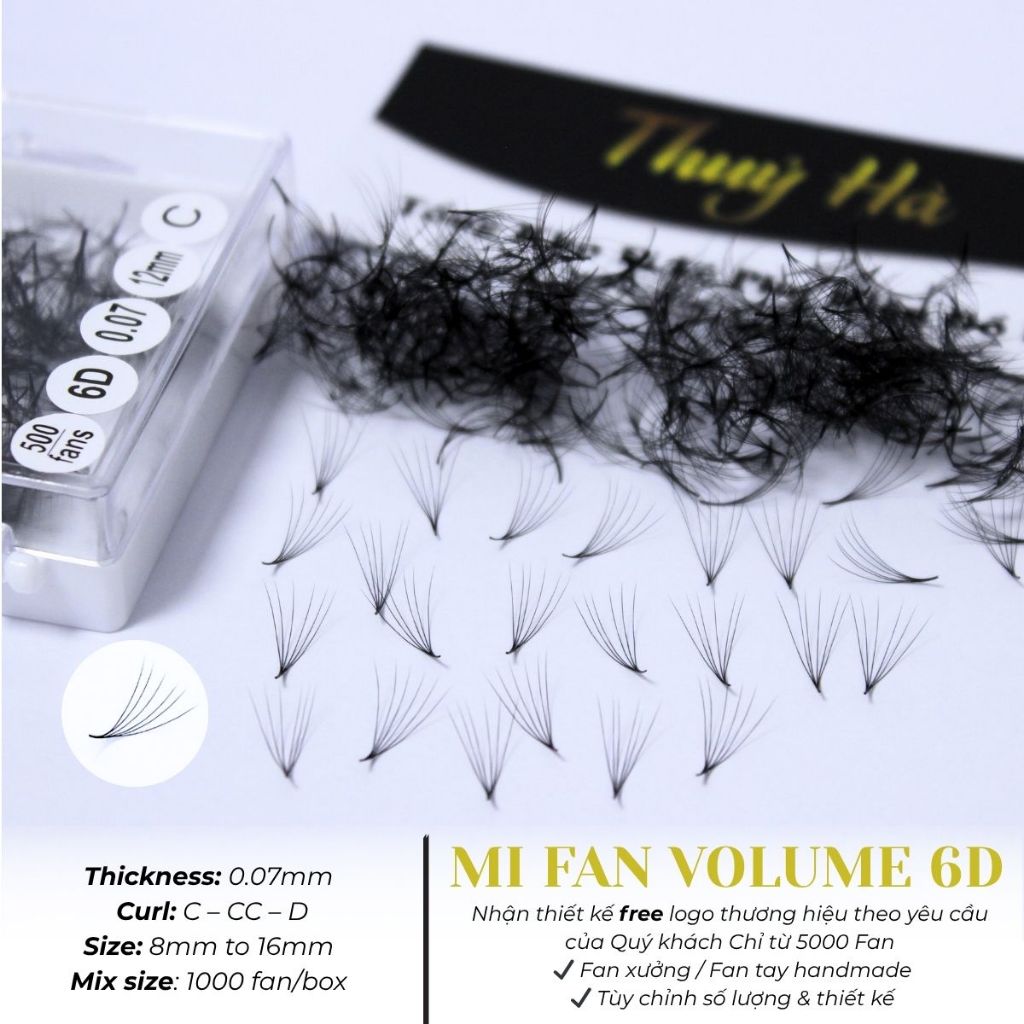 Mi fan sẵn 6D Thúy Hà dày 0.07-Cong C-CC-D hộp 500-1000fan- mi fan xuất khẩu_Dụng Cụ Nối Mi_THÚY HÀ