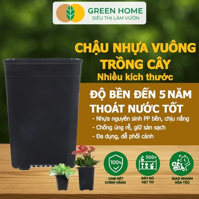10 Chậu Vuông Trồng Cây Greenhome, Nhiều Kích Thước, Nhựa Cứng,Thoát Nước Tốt,Trồng Cây Hoa,Kiểng Lá