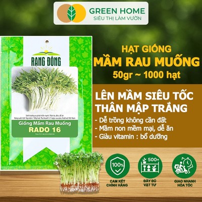 Hạt Giống Mầm Rau Muống GreenHome, Gói 50g~1000 hạt, Dễ Trồng, Nảy Mầm, Thu Hoạch, Năng Suất Cao R14