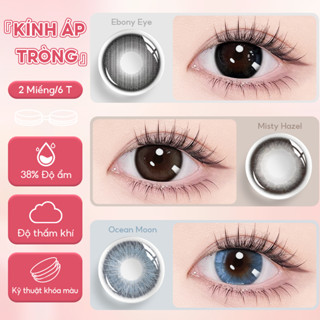 ‌Lens Seed Có Màu Eye Coffret Loại Dùng 6 Tháng UV Có Full Độ Lens Cận Kính Áp Tròng (2 Chiếc Lẻ/1 Đôi)‌