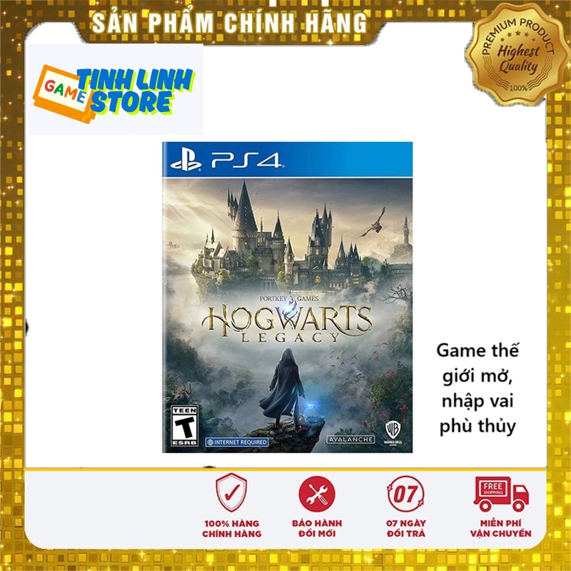 Đĩa Game PS4 Hogwarts Legacy