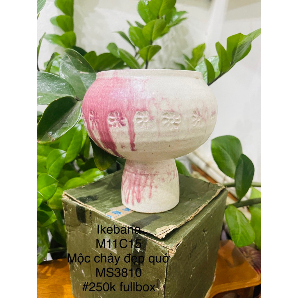 Bình ikebana hàng Nhật fullbox