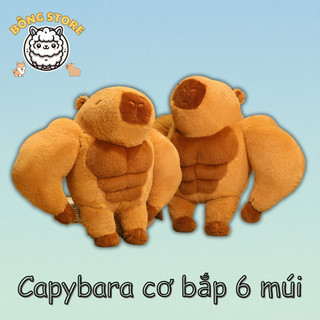  Gấu bông Chuột Lang Nước Capybara Cơ Bắp 6 múi vô tri đáng yêu Thú nhồi bông cao cấp Quà tặng Gấu Bông Cute - Bông Store 