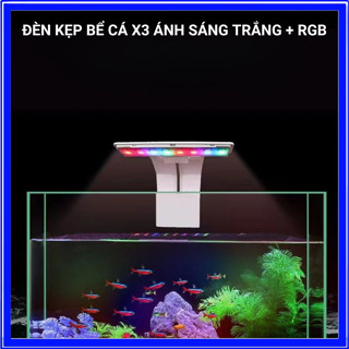 Đèn Kẹp Mini X3, X5 (6w) Ánh Sáng Trắng và Sáng 3 Chế Độ Màu Tùy Chỉnh Cho Bể Cá Mini, Bể Thủy Sinh