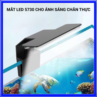 Đèn Led Kẹp Mini X3, X5 (6w) - Led Kẹp Ánh Sáng Trắng và 3 Chế Độ Đổi Màu Tùy Chỉnh Cho Bể Cá Mini, Bể Cá Cảnh