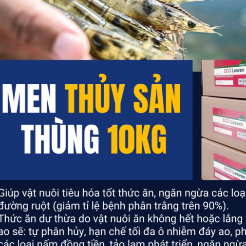 [ date 03/2027] Nấm men Eco Leaven (saccharomyces cerevisiae )tiêu hóa cho thủy sản-10kg