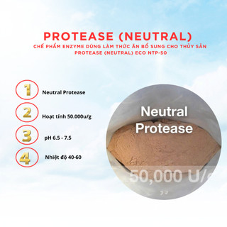 Enzyme Nguyên Liệu Đơn Dòng: Amylase, Cellulase, Protease , Phytase ( 1kg )- Nhập khẩu
