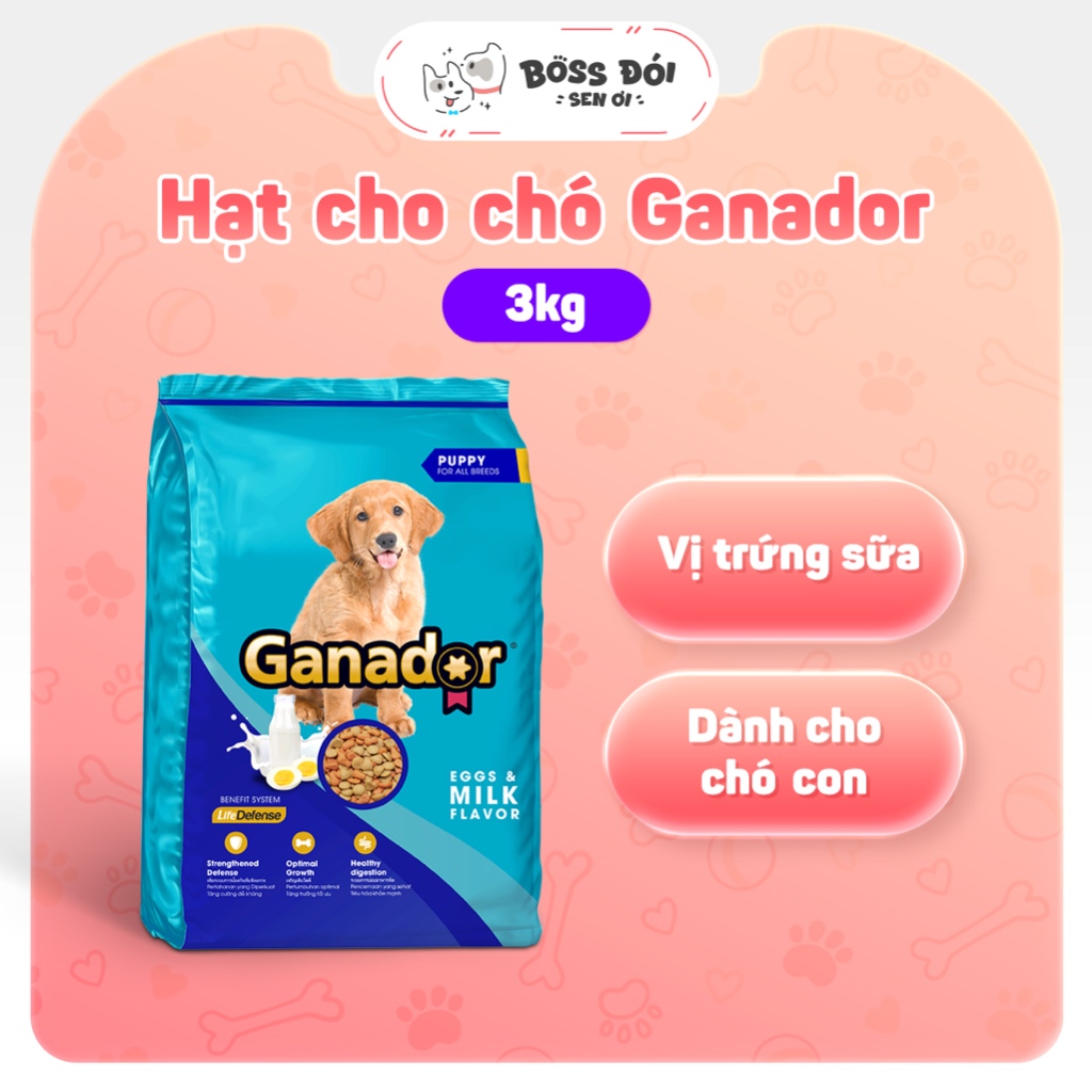 Hạt Cho Chó Con Ganador Vị Trứng Sữa 3kg - Ganador Puppy Egg & Milk 3kg - Tăng đề kháng, ít bám răng